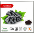 100% pur extrait de fruit de mûrier Anthocyanin 5-25%